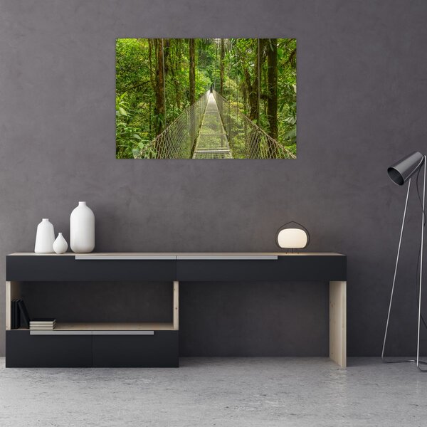 Slika - Viseći most (90x60 cm)