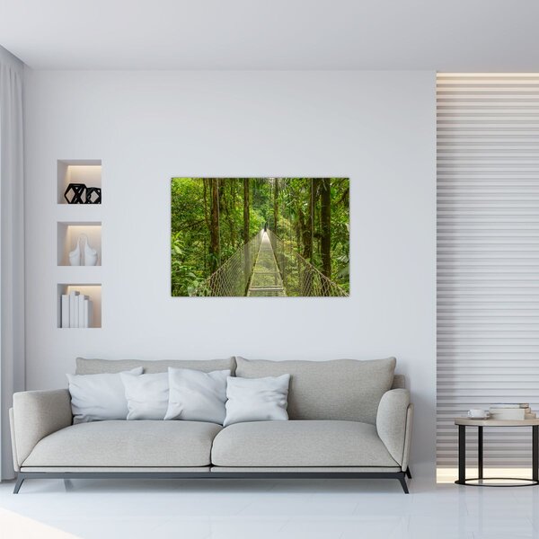 Slika - Viseći most (90x60 cm)
