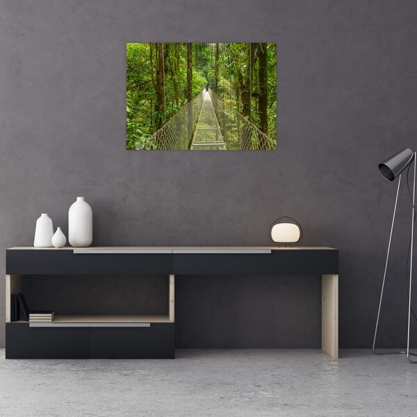 Slika - Viseći most (70x50 cm)