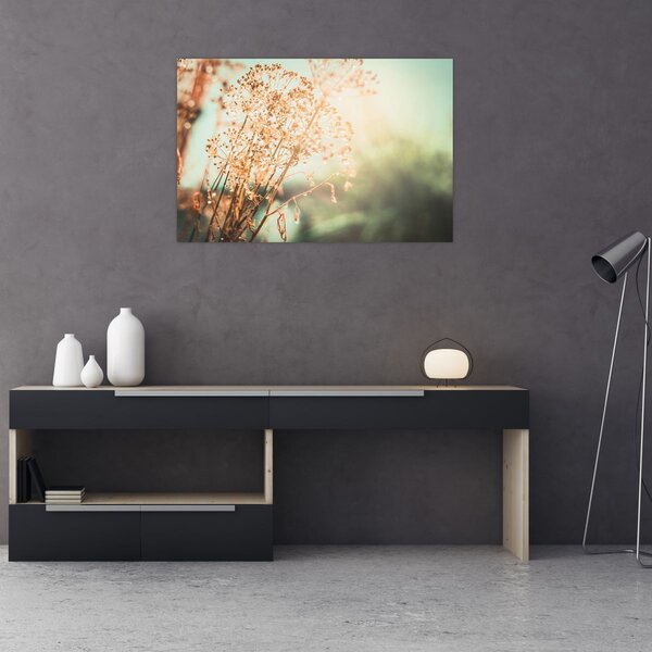 Slika - Livadne biljke (90x60 cm)