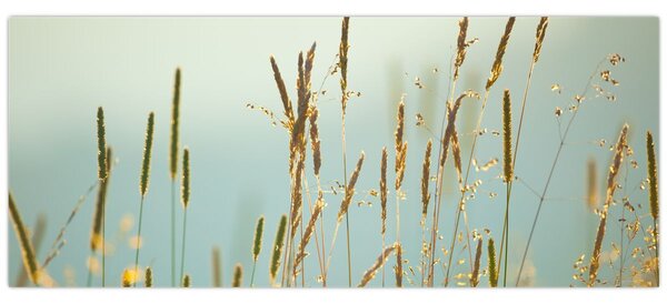 Slika - Trenutak na livadi (120x50 cm)