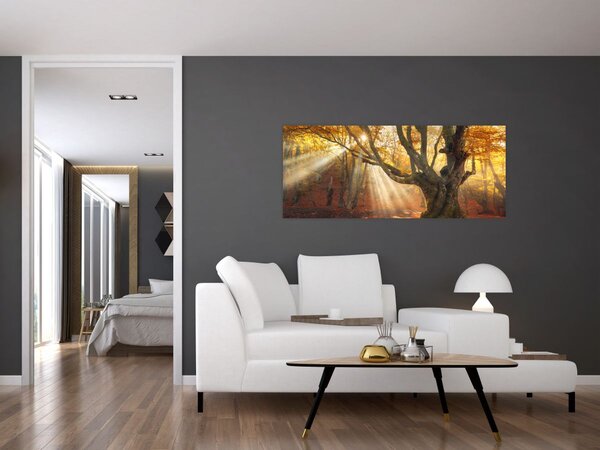 Slika - Jesenje svjetlo (120x50 cm)