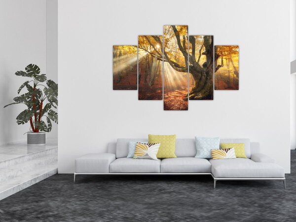 Slika - Jesenje svjetlo (150x105 cm)