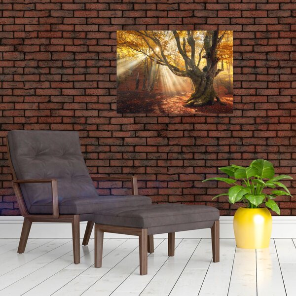 Slika - Jesenje svjetlo (70x50 cm)