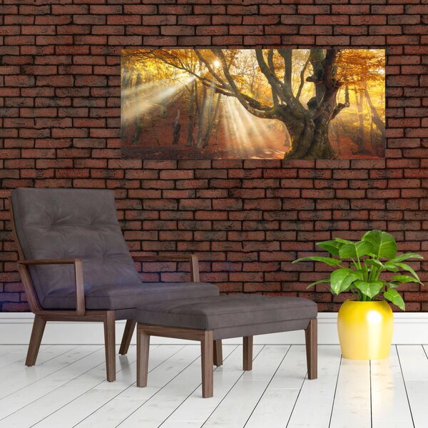 Slika - Jesenje svjetlo (120x50 cm)