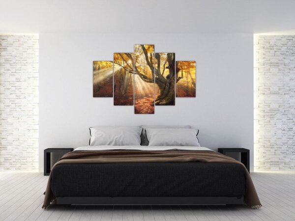 Slika - Jesenje svjetlo (150x105 cm)