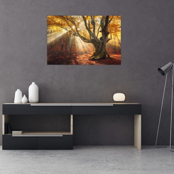 Slika - Jesenje svjetlo (90x60 cm)