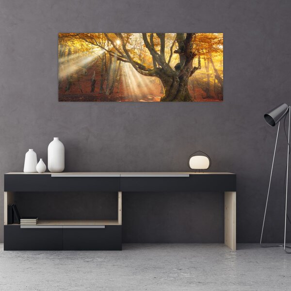 Slika - Jesenje svjetlo (120x50 cm)