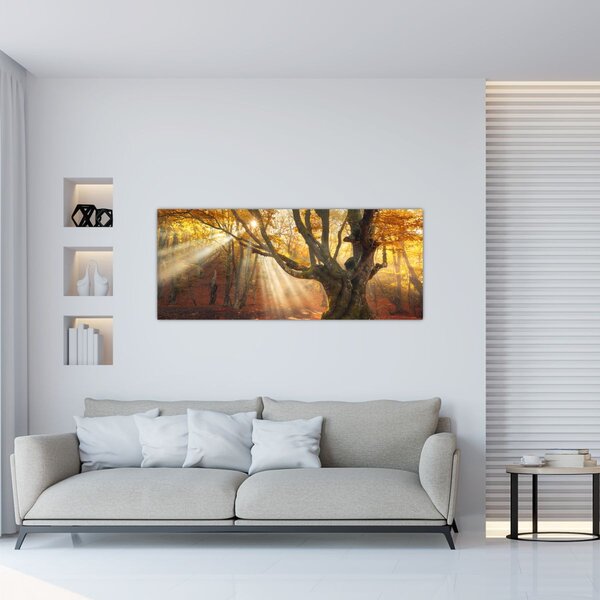 Slika - Jesenje svjetlo (120x50 cm)