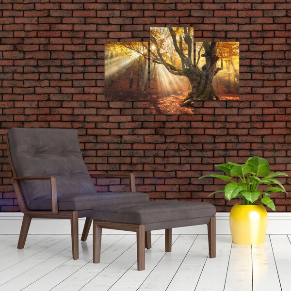 Slika - Jesenje svjetlo (90x60 cm)