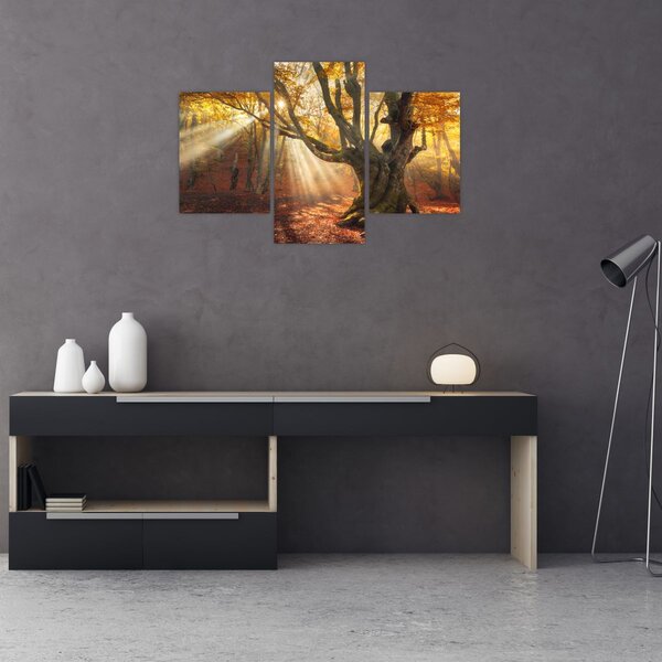 Slika - Jesenje svjetlo (90x60 cm)