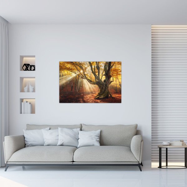 Slika - Jesenje svjetlo (90x60 cm)