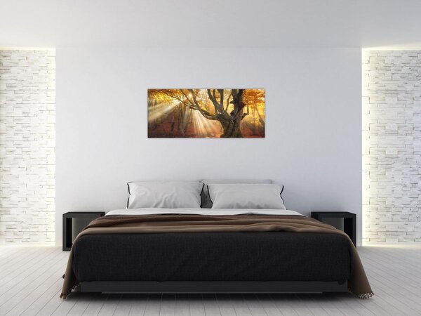 Slika - Jesenje svjetlo (120x50 cm)
