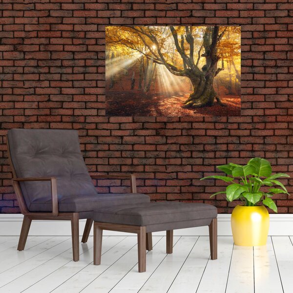 Slika - Jesenje svjetlo (90x60 cm)