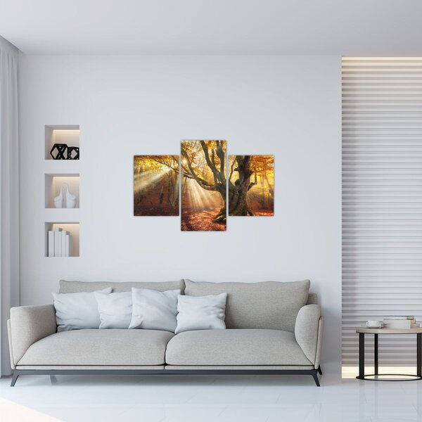 Slika - Jesenje svjetlo (90x60 cm)