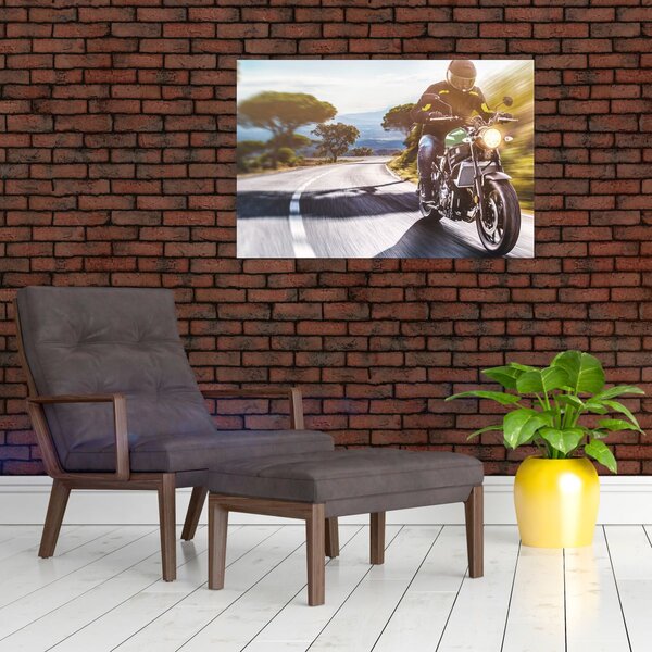 Slika - Biker (90x60 cm)