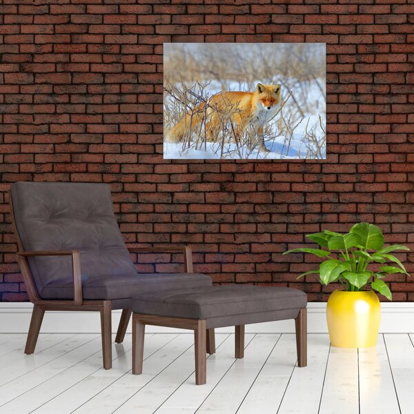 Slika - Lisac (70x50 cm)