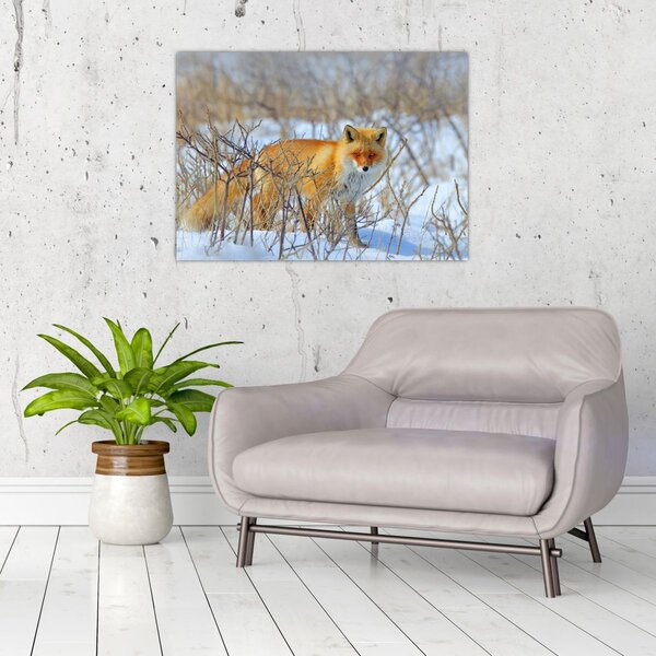 Slika - Lisac (70x50 cm)