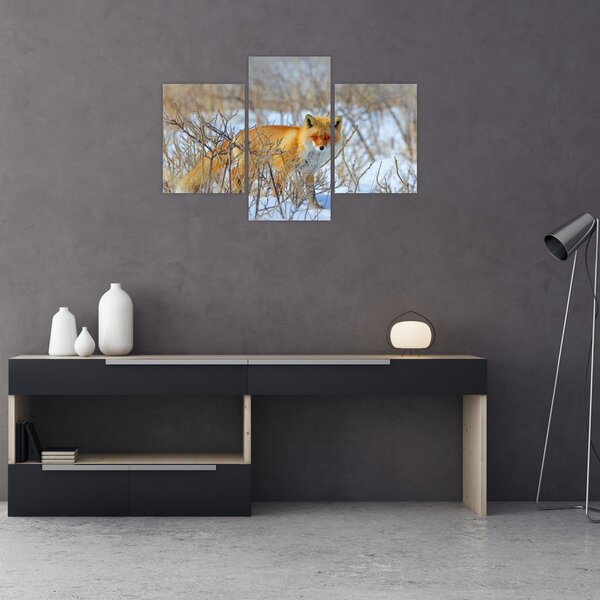 Slika - Lisac (90x60 cm)