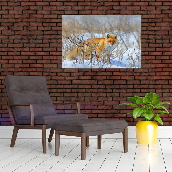 Slika - Lisac (90x60 cm)