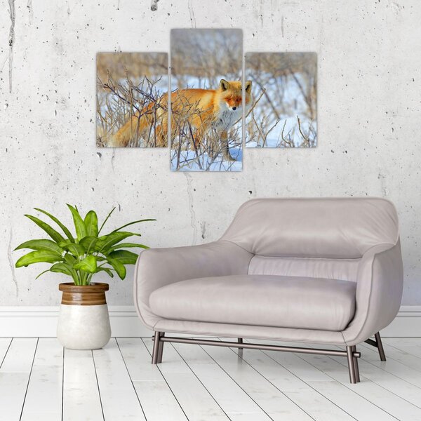 Slika - Lisac (90x60 cm)
