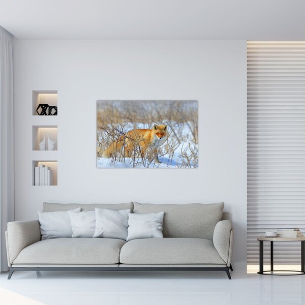 Slika - Lisac (90x60 cm)