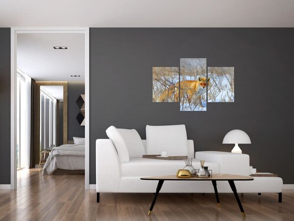Slika - Lisac (90x60 cm)