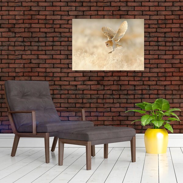 Slika - Sova (70x50 cm)