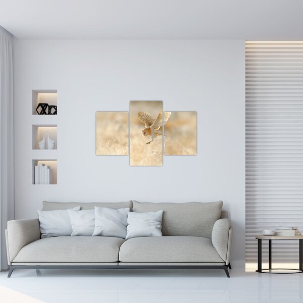 Slika - Sova (90x60 cm)