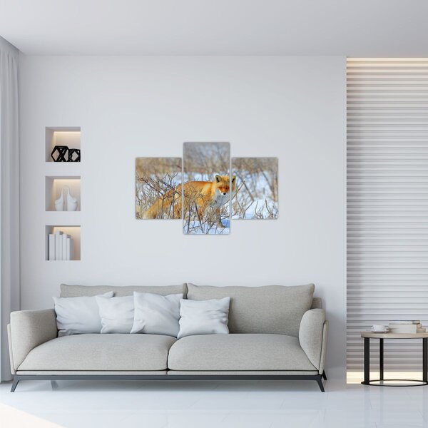 Slika - Lisac (90x60 cm)
