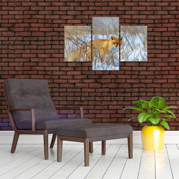 Slika - Lisac (90x60 cm)