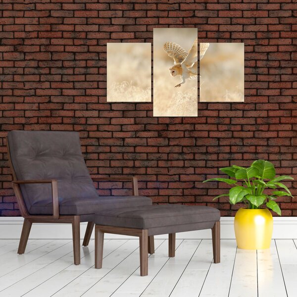 Slika - Sova (90x60 cm)