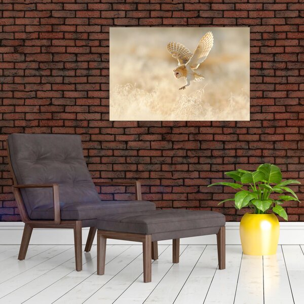 Slika - Sova (90x60 cm)