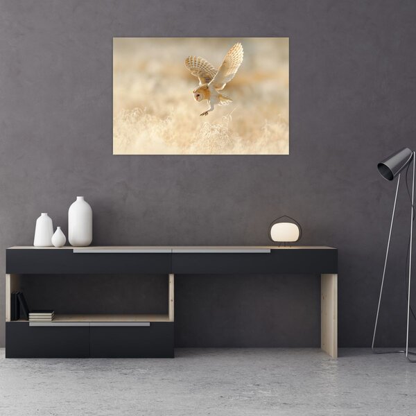 Slika - Sova (90x60 cm)