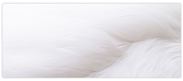 Slika - Bijelo pero (120x50 cm)