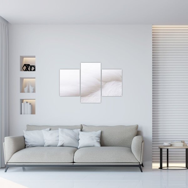 Slika - Bijelo pero (90x60 cm)