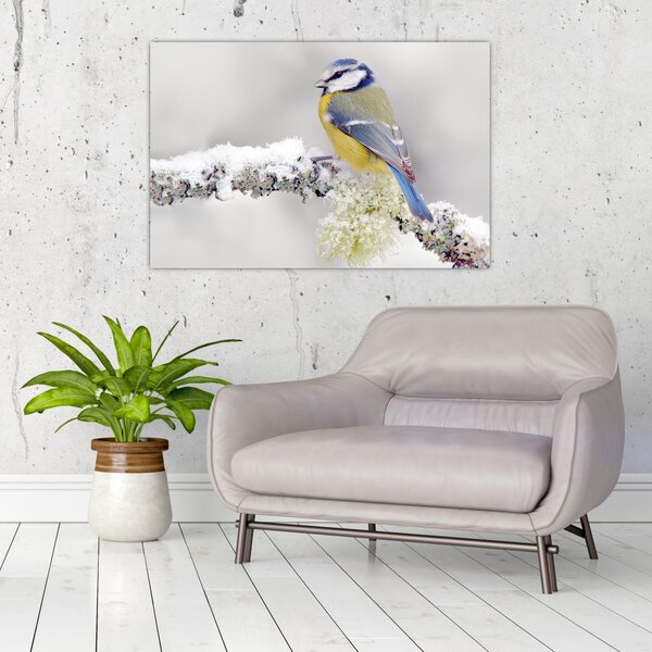 Slika - Plava sjenica u šumi (90x60 cm)