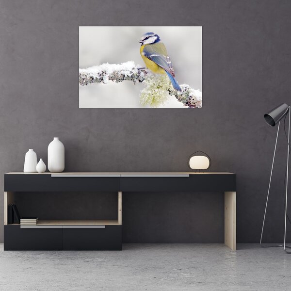 Slika - Plava sjenica u šumi (90x60 cm)
