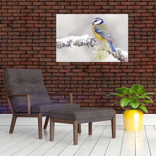 Slika - Plava sjenica u šumi (90x60 cm)