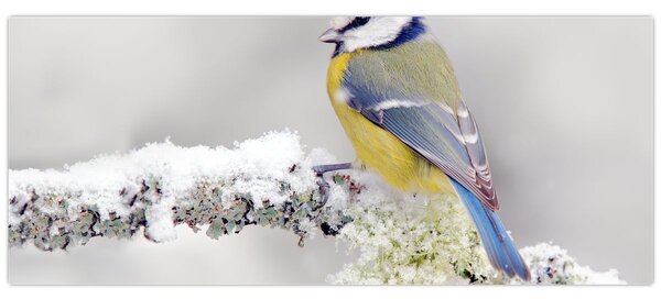 Slika - Sjenica (120x50 cm)