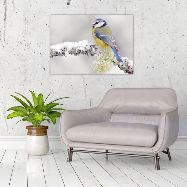 Slika - Plava sjenica u šumi (70x50 cm)