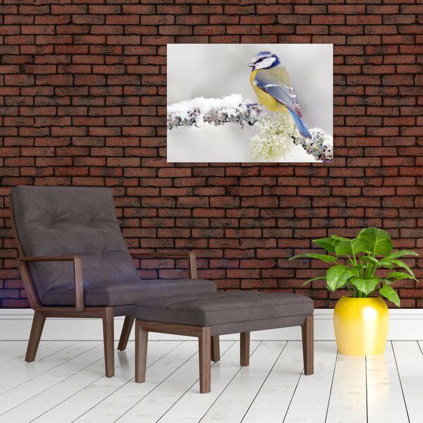 Slika - Plava sjenica u šumi (70x50 cm)