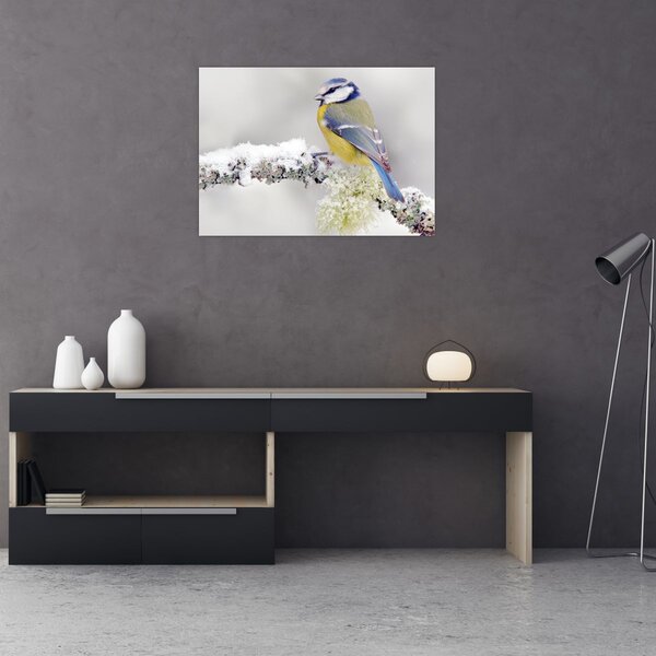 Slika - Plava sjenica u šumi (70x50 cm)