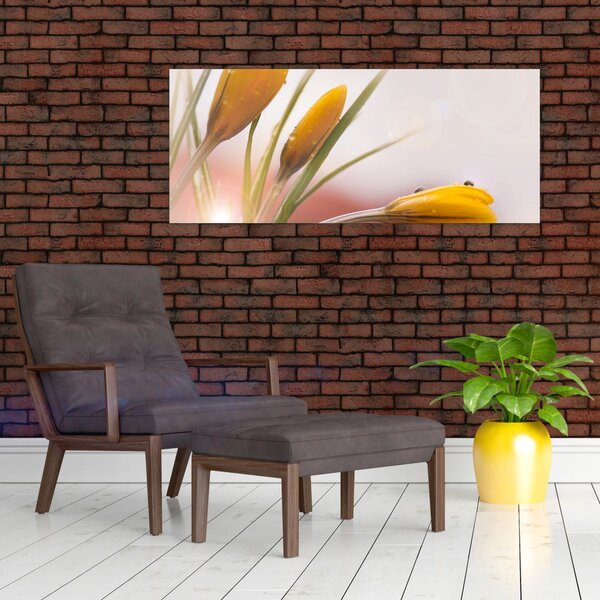 Slika - Proljetno cvijeće (120x50 cm)