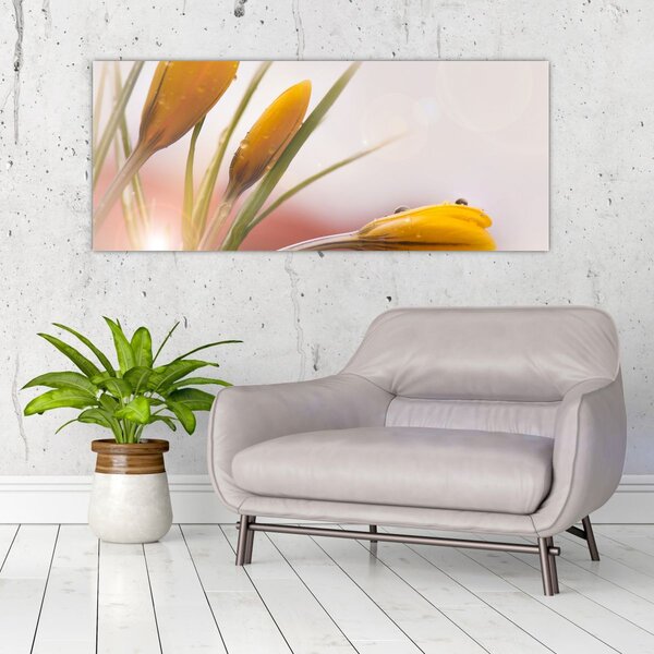 Slika - Proljetno cvijeće (120x50 cm)