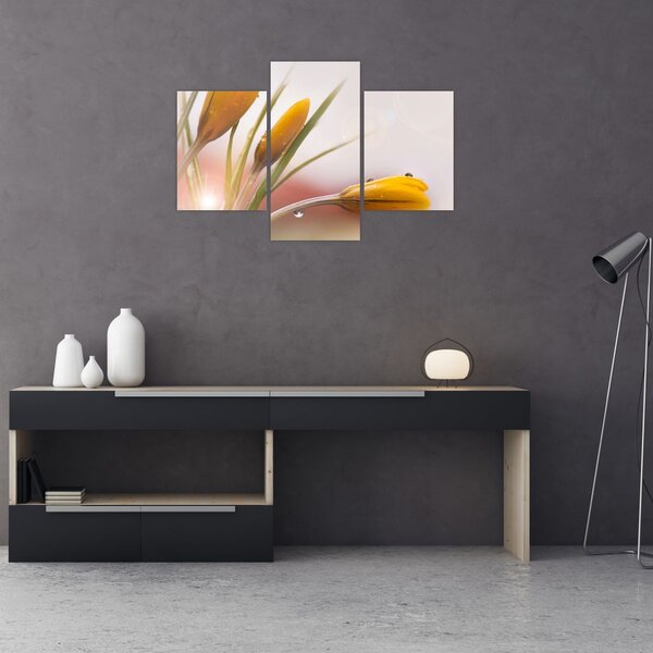 Slika - Proljetno cvijeće (90x60 cm)