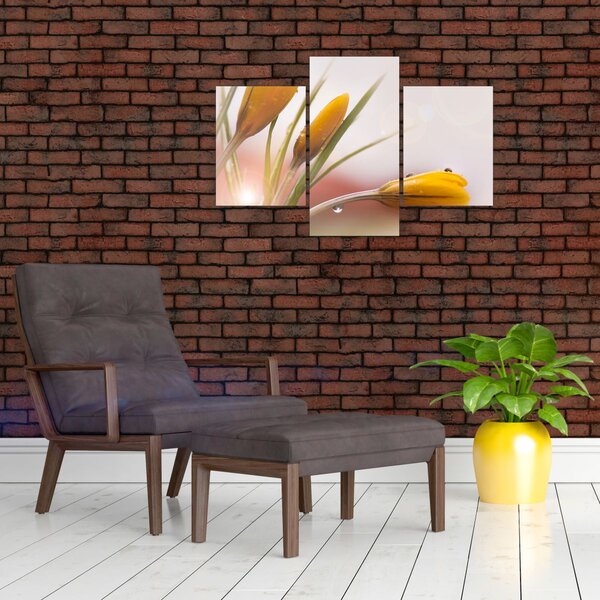 Slika - Proljetno cvijeće (90x60 cm)