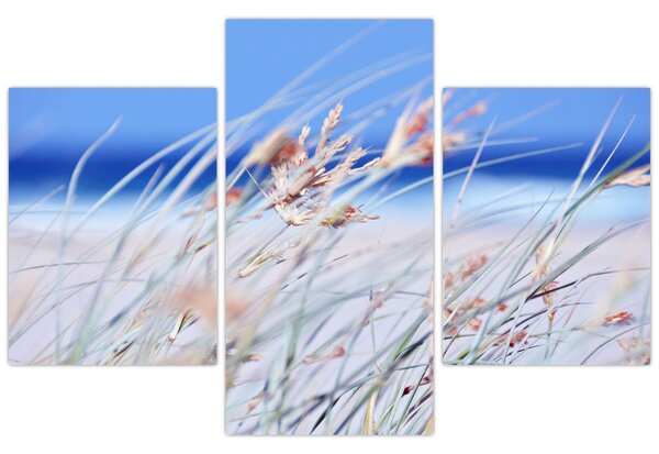 Slika - Povjetarac (90x60 cm)