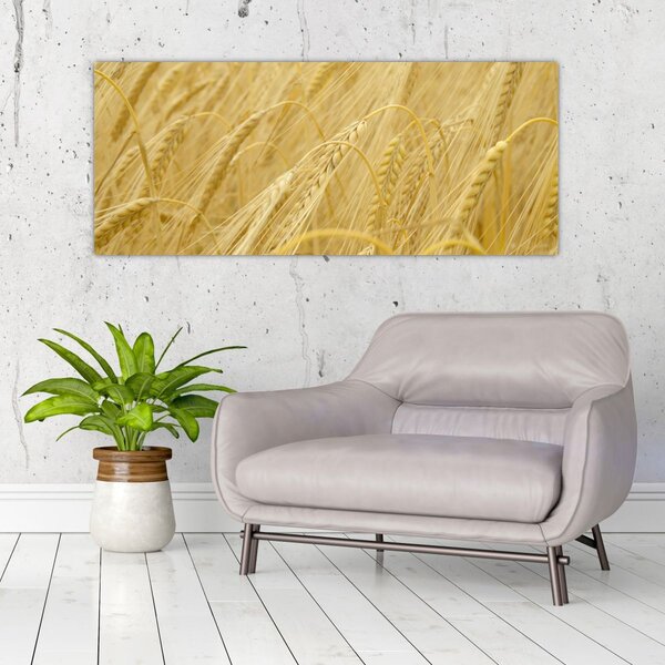 Slika - Ječam (120x50 cm)