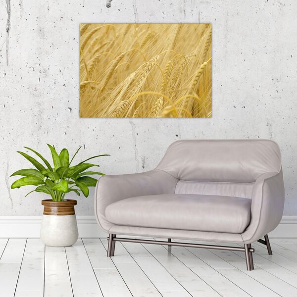 Slika - Ječam (70x50 cm)